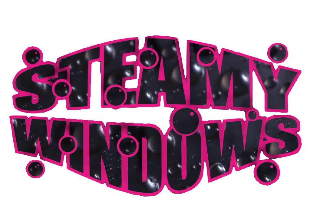 Steamy Windows Doncaster logo